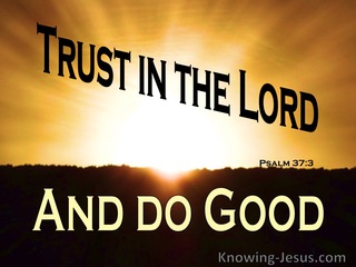 Psalm 37:3 Trust in the Lord  And Do Good (orange)